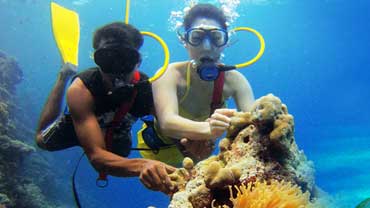 Amazing Andaman