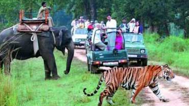 Nainital & Corbett Tour